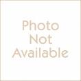 Harley 1200 roadster for sale deals