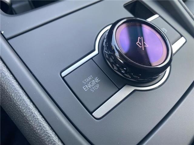 new 2025 Volkswagen Tiguan car