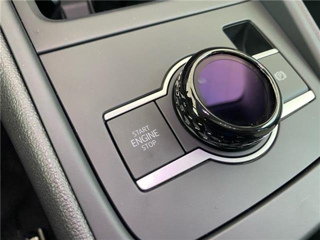 new 2025 Volkswagen Tiguan car