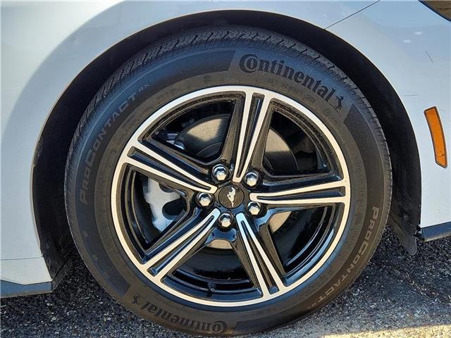 used 2024 Ford Mustang car, priced at $32,998
