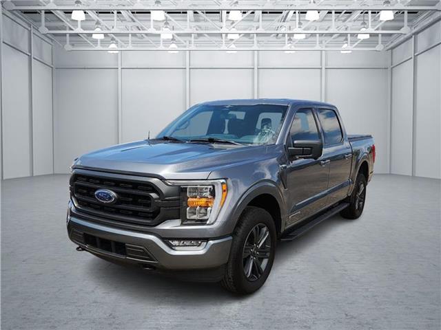 used 2023 Ford F-150 car, priced at $49,896