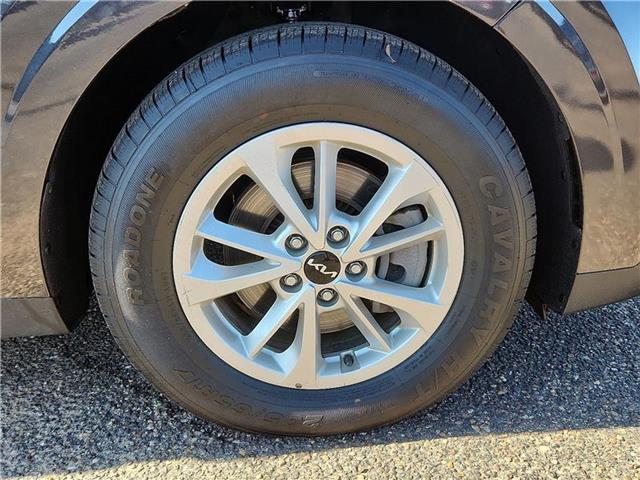 used 2024 Kia Carnival car, priced at $35,998