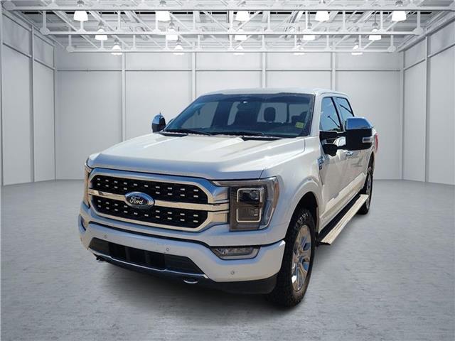 used 2023 Ford F-150 car, priced at $56,995