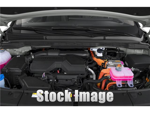 new 2025 Kia Carnival Hybrid car