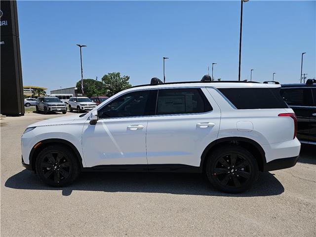new 2025 Hyundai Palisade car