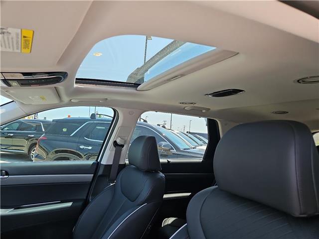 new 2025 Hyundai Palisade car