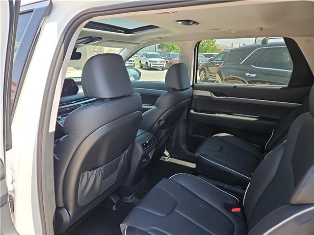 new 2025 Hyundai Palisade car