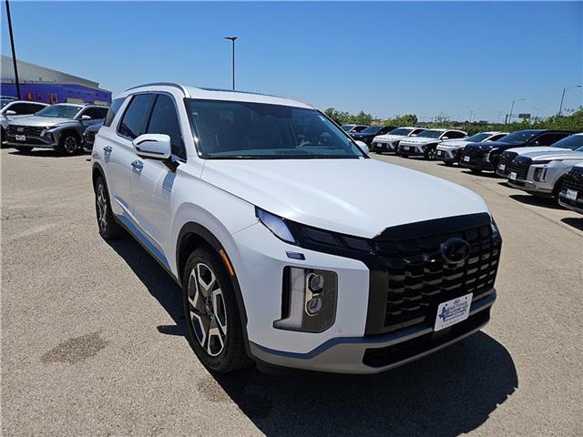 new 2025 Hyundai Palisade car