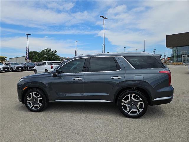 new 2025 Hyundai Palisade car