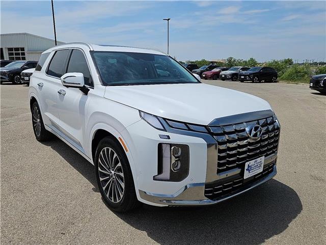 new 2025 Hyundai Palisade car