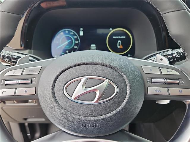 new 2025 Hyundai Palisade car