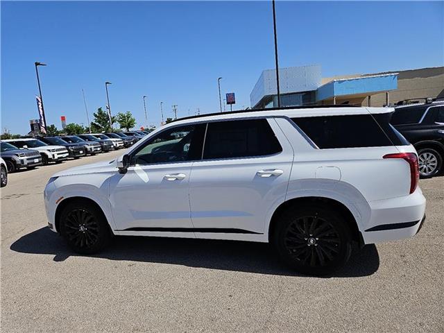 new 2025 Hyundai Palisade car