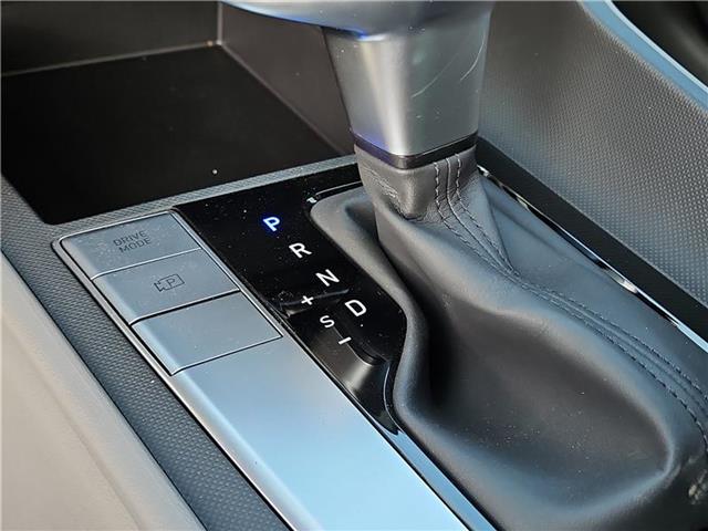 new 2025 Hyundai Elantra car