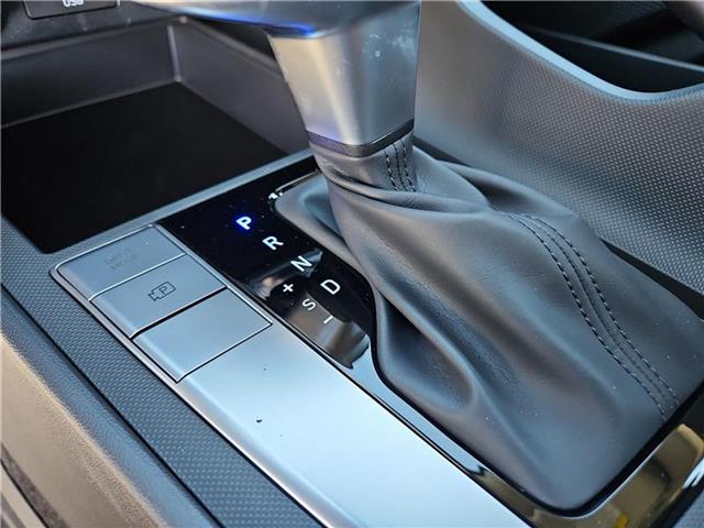 new 2025 Hyundai Elantra car