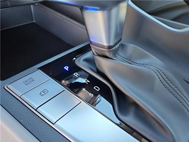 new 2025 Hyundai Elantra car