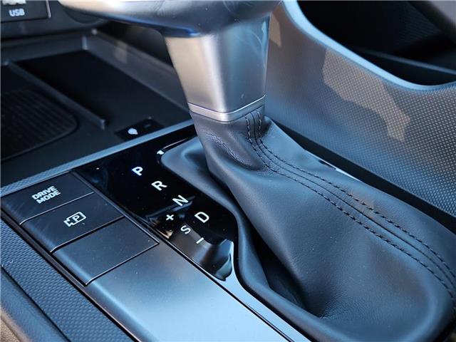 new 2025 Hyundai Elantra car