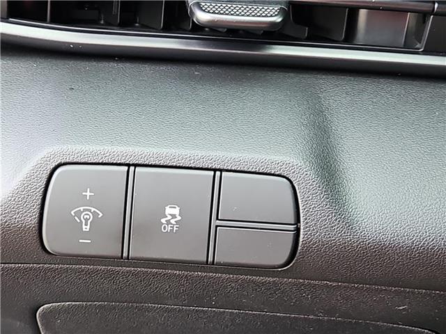 new 2025 Hyundai Elantra car
