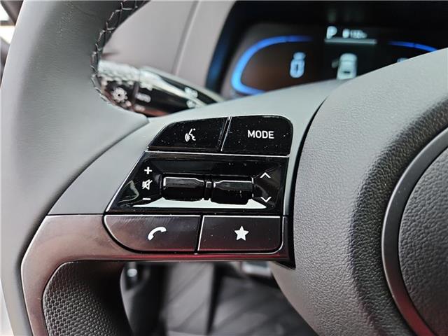new 2025 Hyundai Elantra car