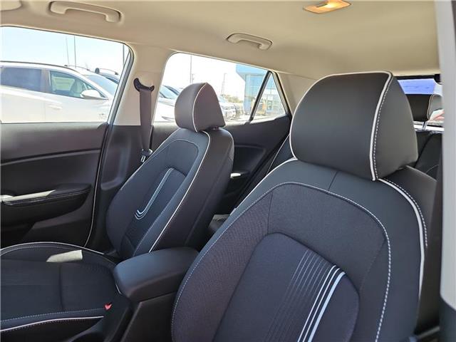 new 2025 Hyundai Venue car