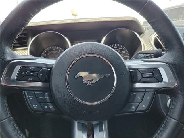 used 2023 Ford Mustang car, priced at $34,400