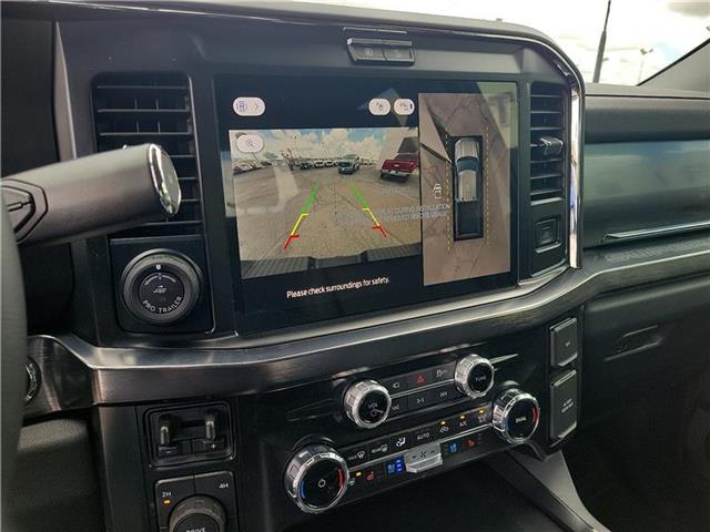 new 2025 Ford F-250 car, priced at $93,420