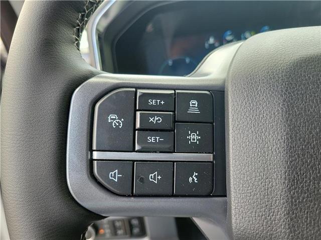 new 2025 Ford F-250 car, priced at $93,420