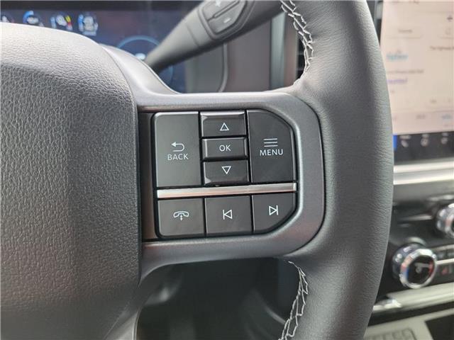 new 2025 Ford F-250 car, priced at $93,100