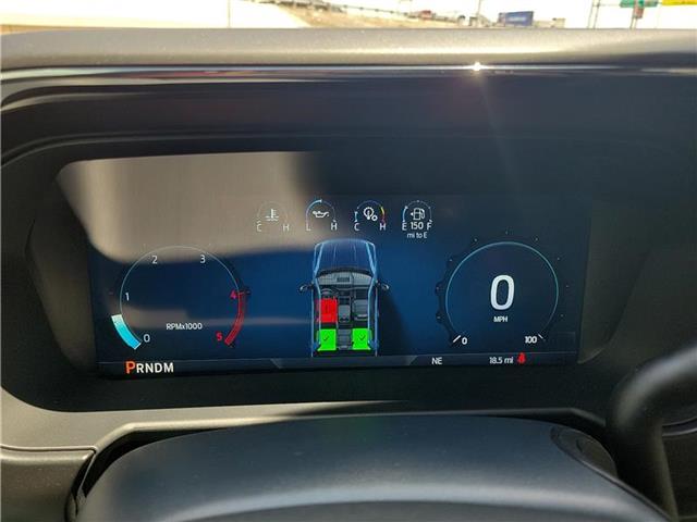 new 2025 Ford F-250 car, priced at $93,410