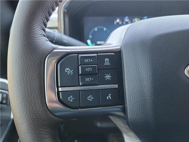 new 2025 Ford F-250 car, priced at $94,945