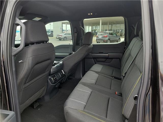 new 2025 Ford F-150 car, priced at $53,450