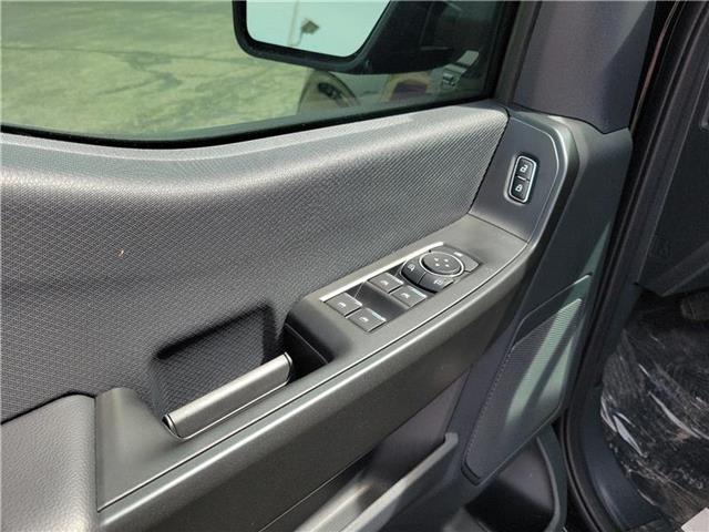 new 2025 Ford F-150 car, priced at $52,055