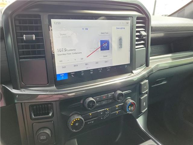 new 2025 Ford F-150 car, priced at $52,055