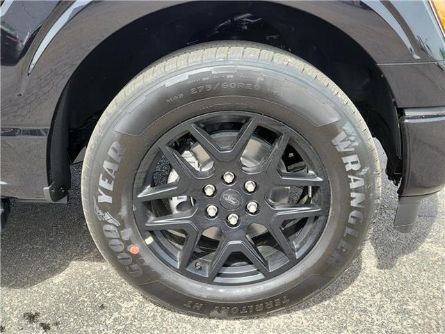 new 2025 Ford F-150 car, priced at $52,055