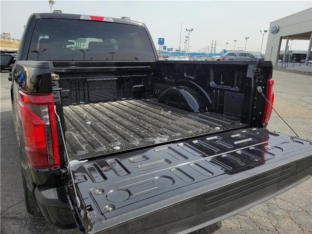 new 2025 Ford F-150 car, priced at $52,055