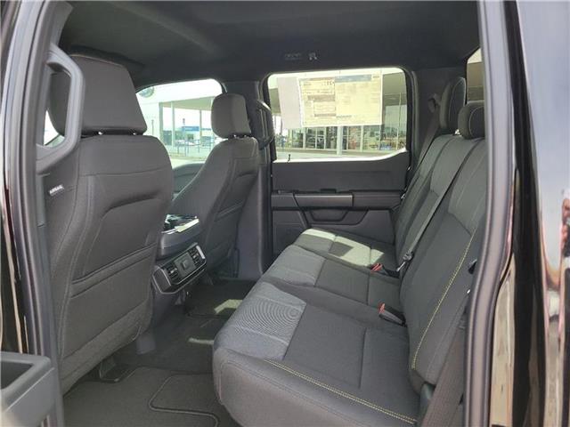 new 2025 Ford F-150 car, priced at $52,055