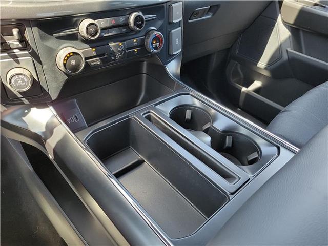new 2025 Ford F-150 car, priced at $49,880