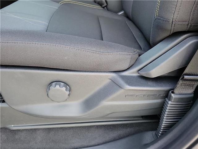 new 2025 Ford F-150 car, priced at $49,605