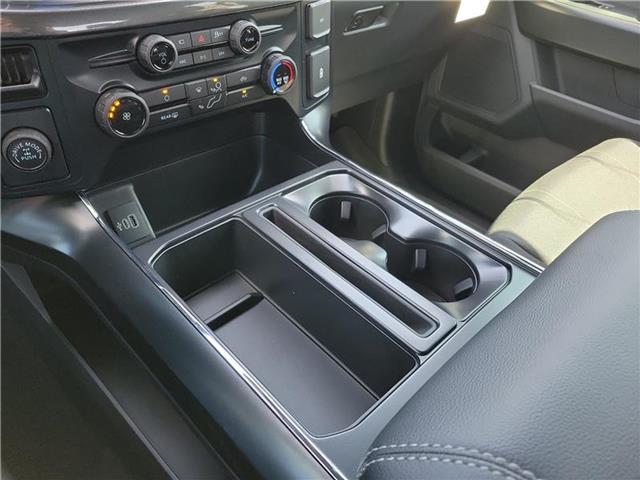 new 2025 Ford F-150 car, priced at $49,605