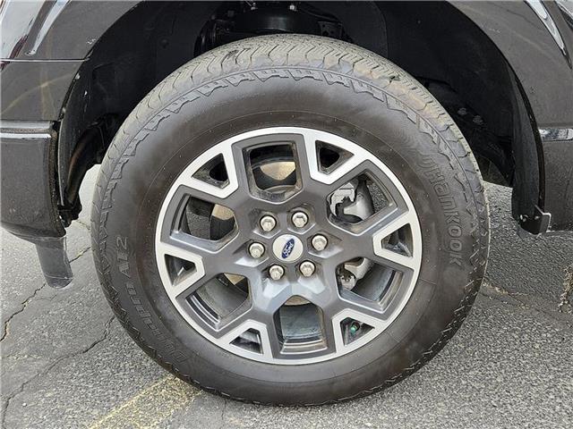 used 2024 Ford F-150 car, priced at $49,500