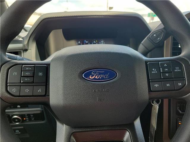new 2025 Ford F-150 car, priced at $57,065