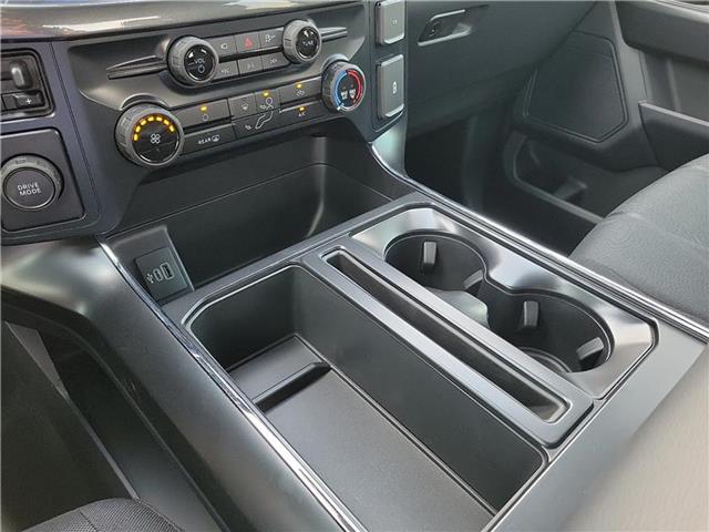 new 2025 Ford F-150 car, priced at $48,410