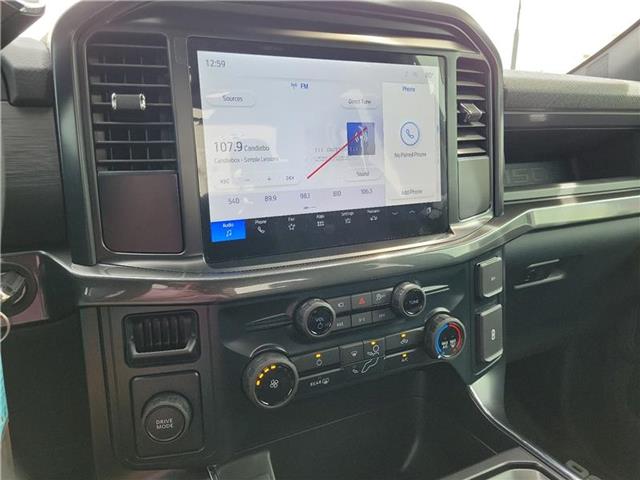 new 2025 Ford F-150 car, priced at $48,335