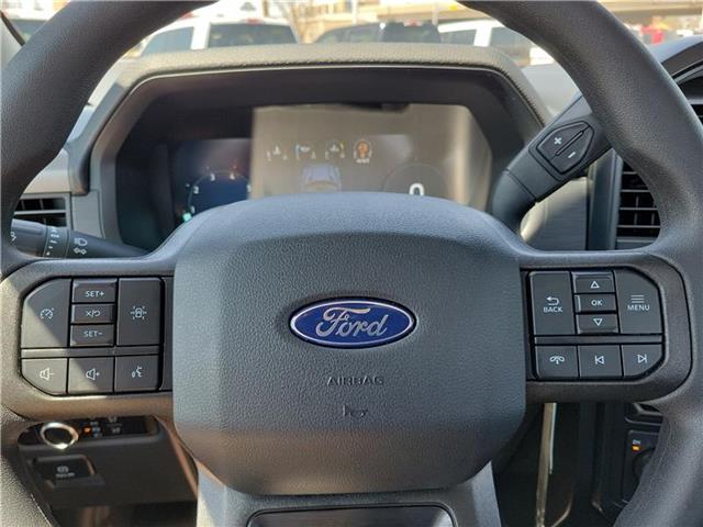 new 2025 Ford F-150 car, priced at $49,825