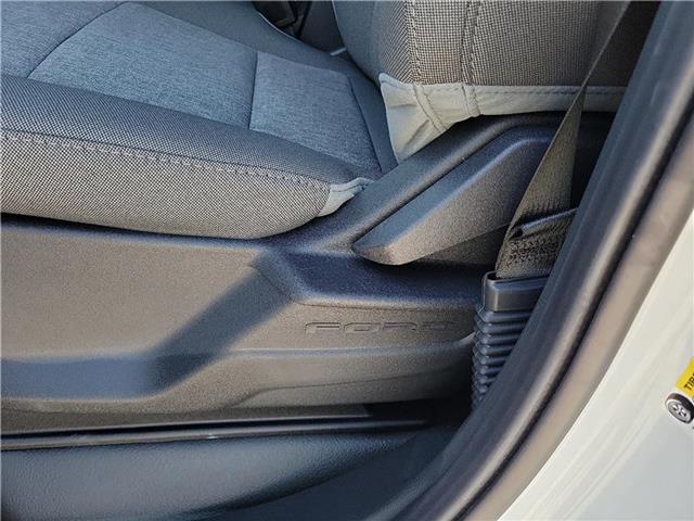 new 2025 Ford F-150 car, priced at $49,180