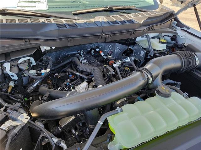 new 2025 Ford F-150 car, priced at $49,180
