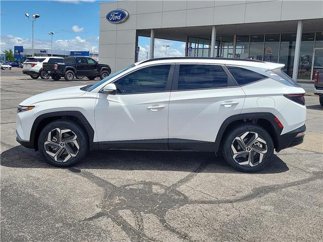 used 2023 Hyundai Tucson car, priced at $24,599